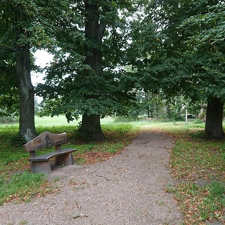 Fewo In Neustadt/Dosse, Der Stadt Der Pferde Leddin Exteriör bild