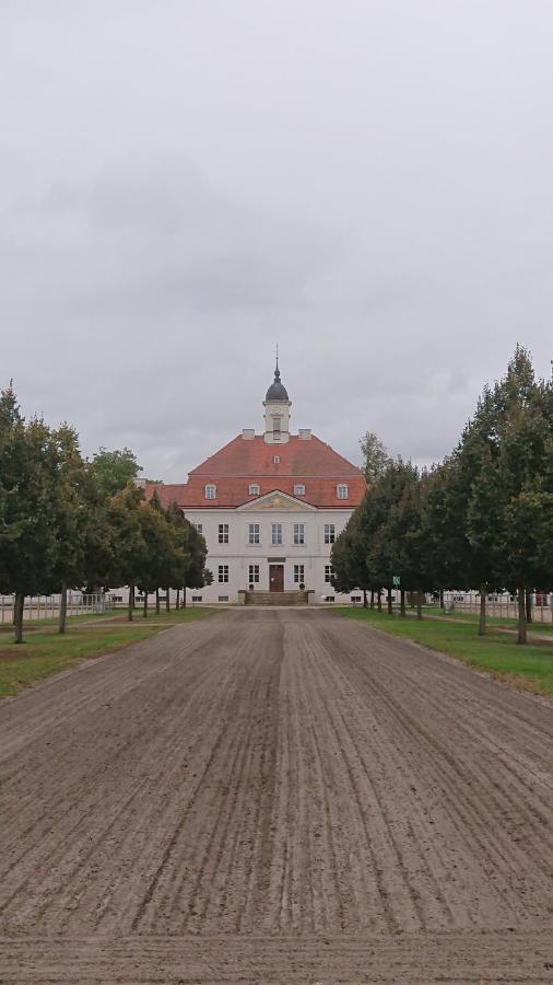 Fewo In Neustadt/Dosse, Der Stadt Der Pferde Leddin Exteriör bild